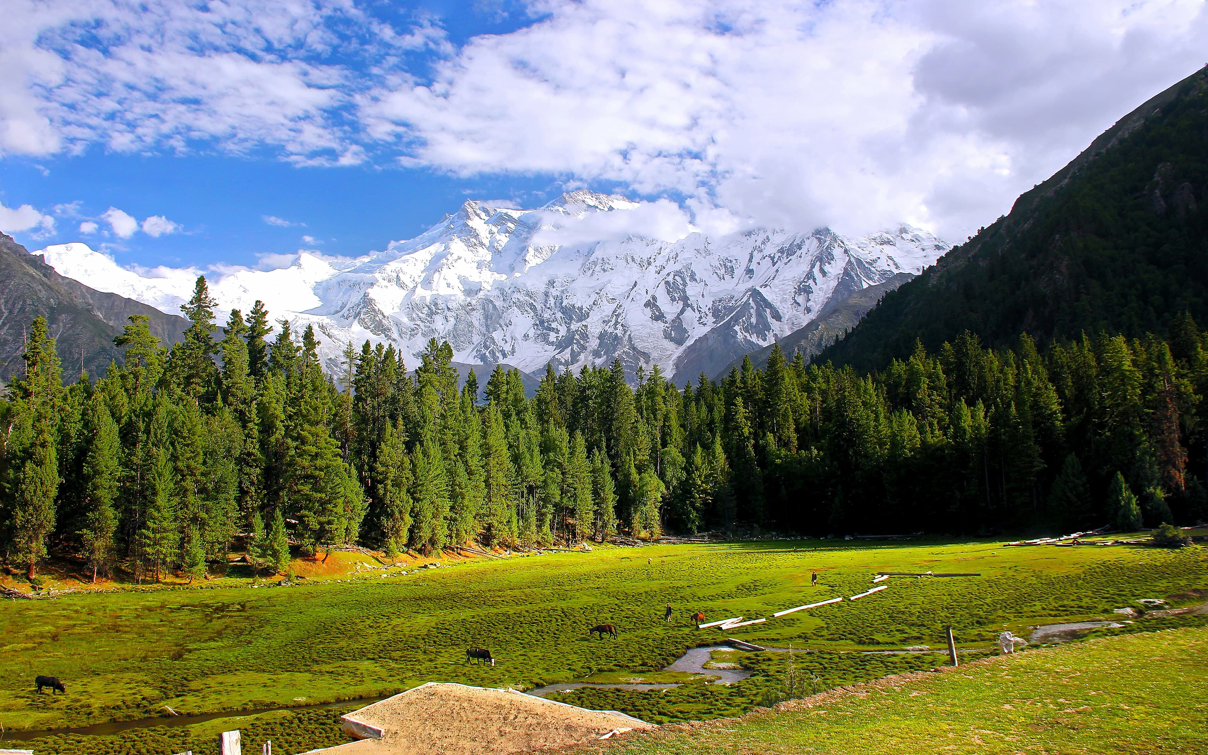 Log cabins at Fairy Meadows with Nanga Parbat glowing at sunset