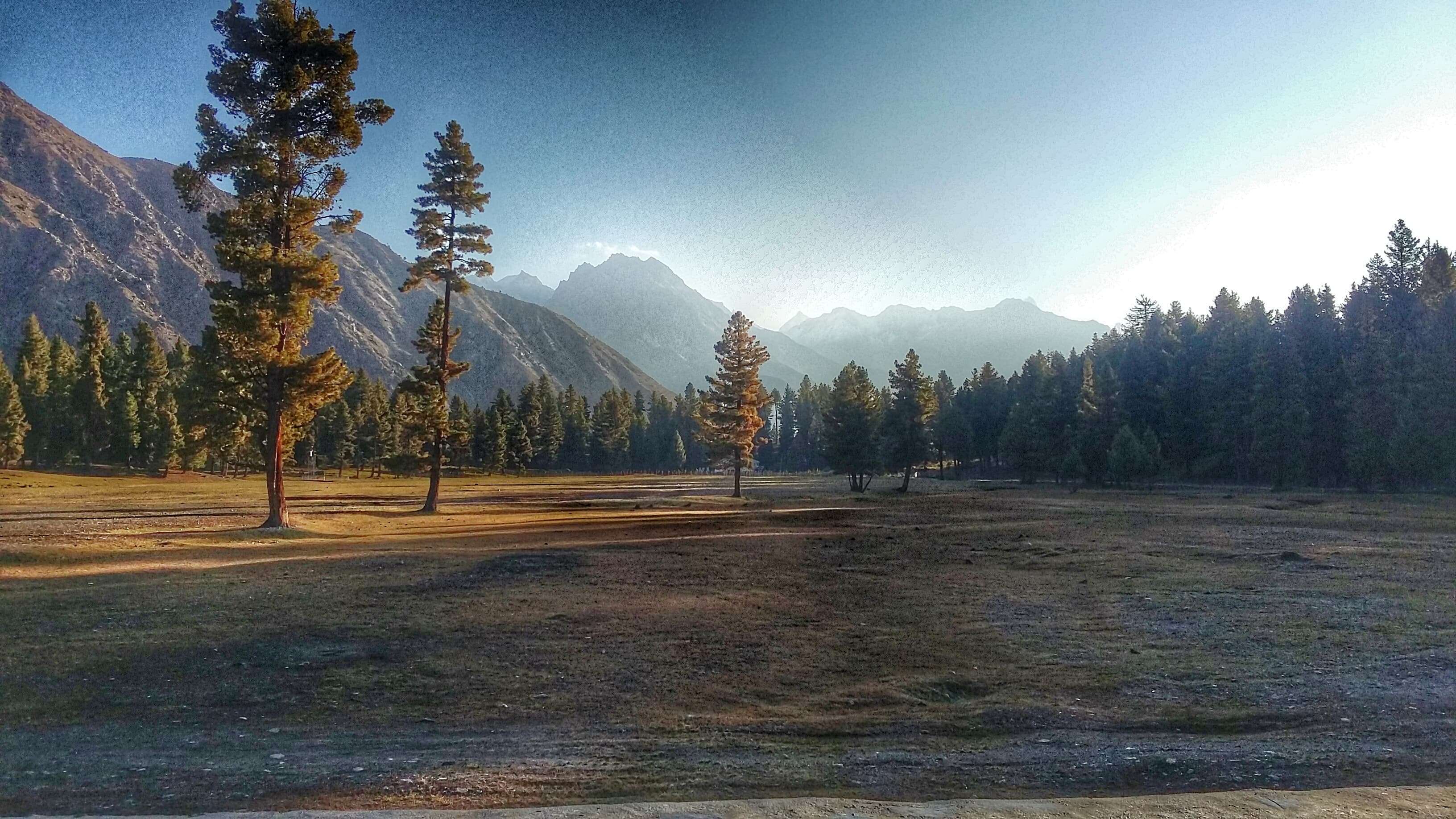 Rama meadows and forest with Nanga Parbat massif behind